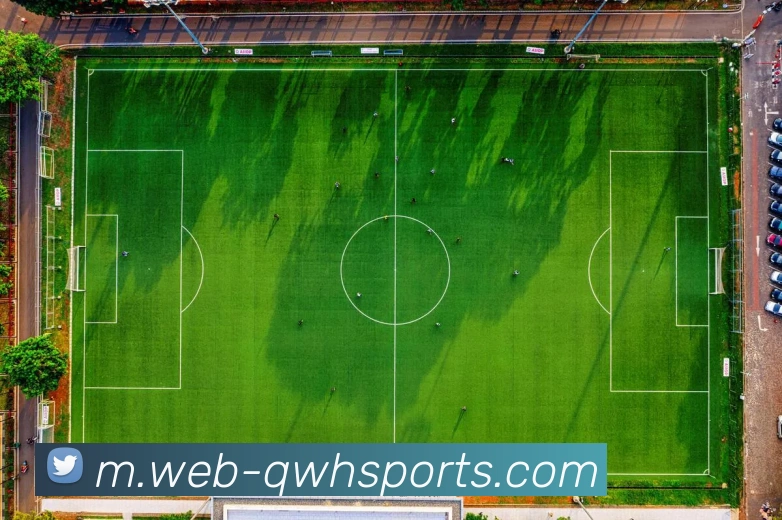 球赛投注平台生态图