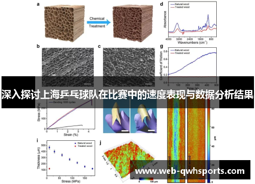 深入探讨上海乒乓球队在比赛中的速度表现与数据分析结果